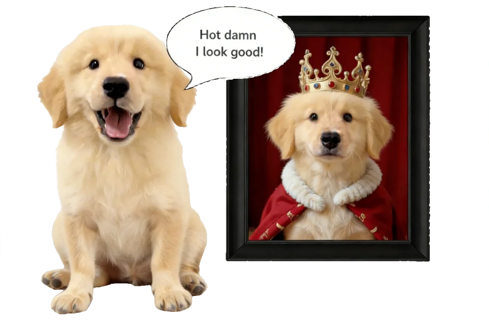 Pet Portrait